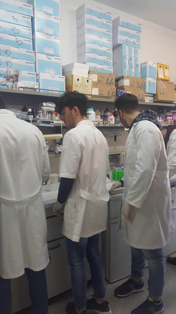 Orientamento universitario area arti mediche  laboratorio di oncologia molecolare dellUMG 2